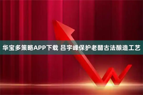 华宝多策略APP下载 吕宇峰保护老醋古法酿造工艺