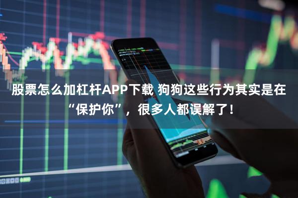 股票怎么加杠杆APP下载 狗狗这些行为其实是在“保护你”,很多人都误解了!