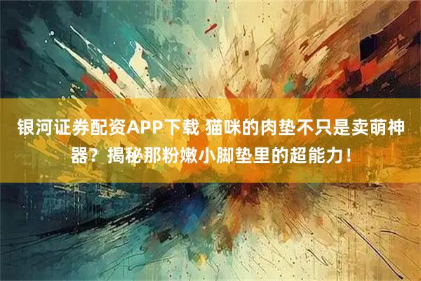银河证券配资APP下载 猫咪的肉垫不只是卖萌神器？揭秘那粉嫩小脚垫里的超能力！