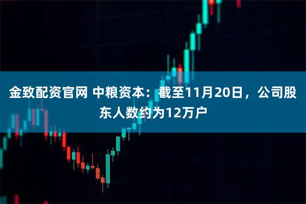 金致配资官网 中粮资本：截至11月20日，公司股东人数约为12万户